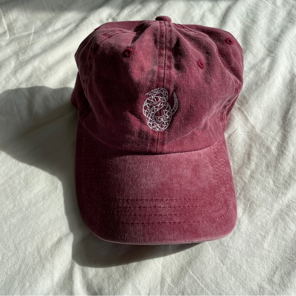 Like New Sigma Nu Logo Embroidered Dad Hat